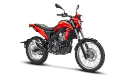 Zeige Details für Beta Alp 4.0 und Alp X 350 ccm 4T  Bild von Beta Alp 4.0 und Alp X 350 ccm 4T